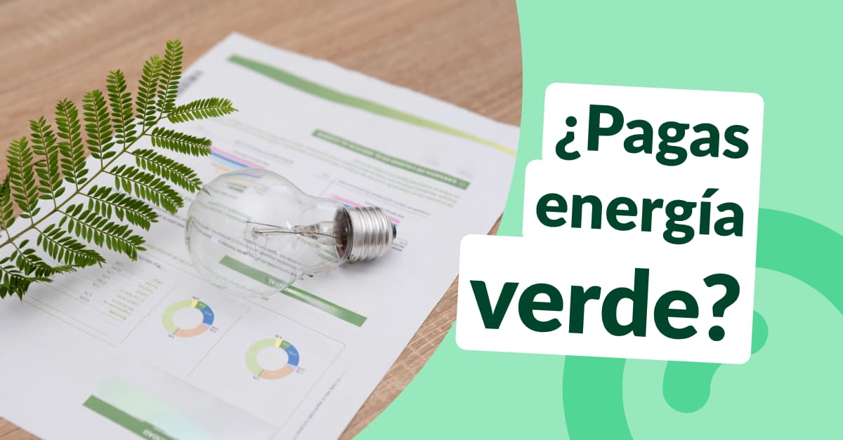 factura electrica en papel junto a una planta