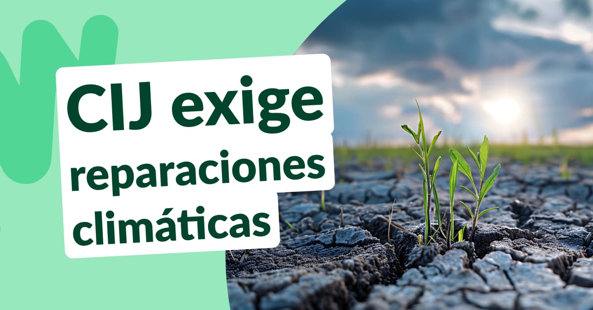 Planta verde brotando a través de tierra agrietada y seca