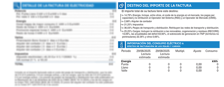 Destino importe factura Endesa: desglose porcentaje energía, peajes, cargos, impuestos, información consumo eléctrico por períodos y producto contratado